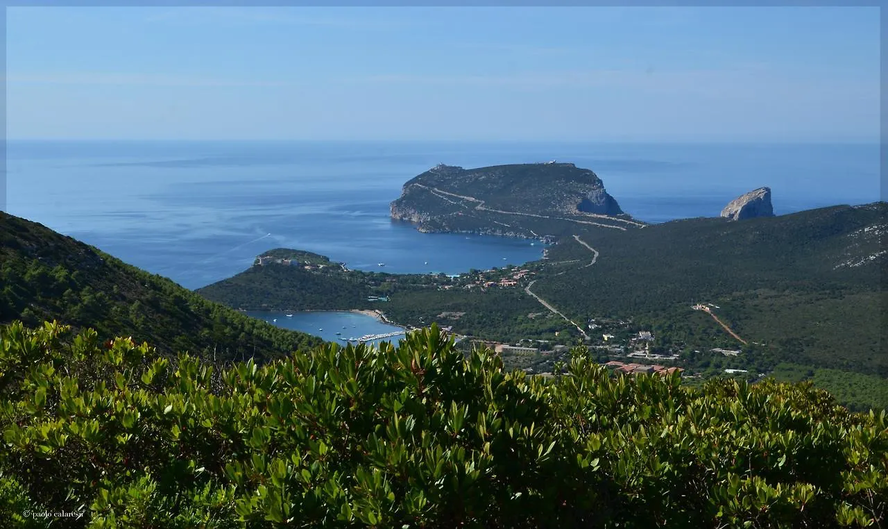 Attico In Residence Con Piscina Via Lido 125 Αλγκέρο Διαμέρισμα